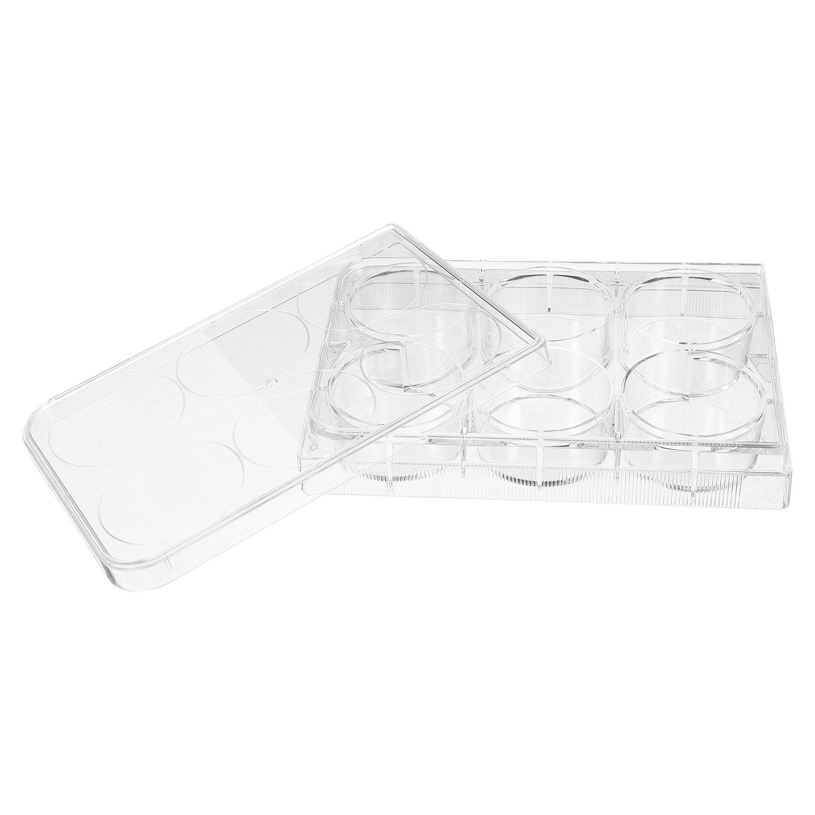 Lab Equipment - Placa de Cultura de Tecidos: Bandeja