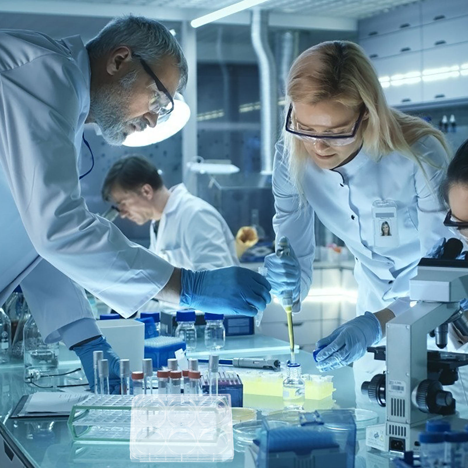 Placa de Cultura de Tecidos: B - Lab Equipment avaliação e preço